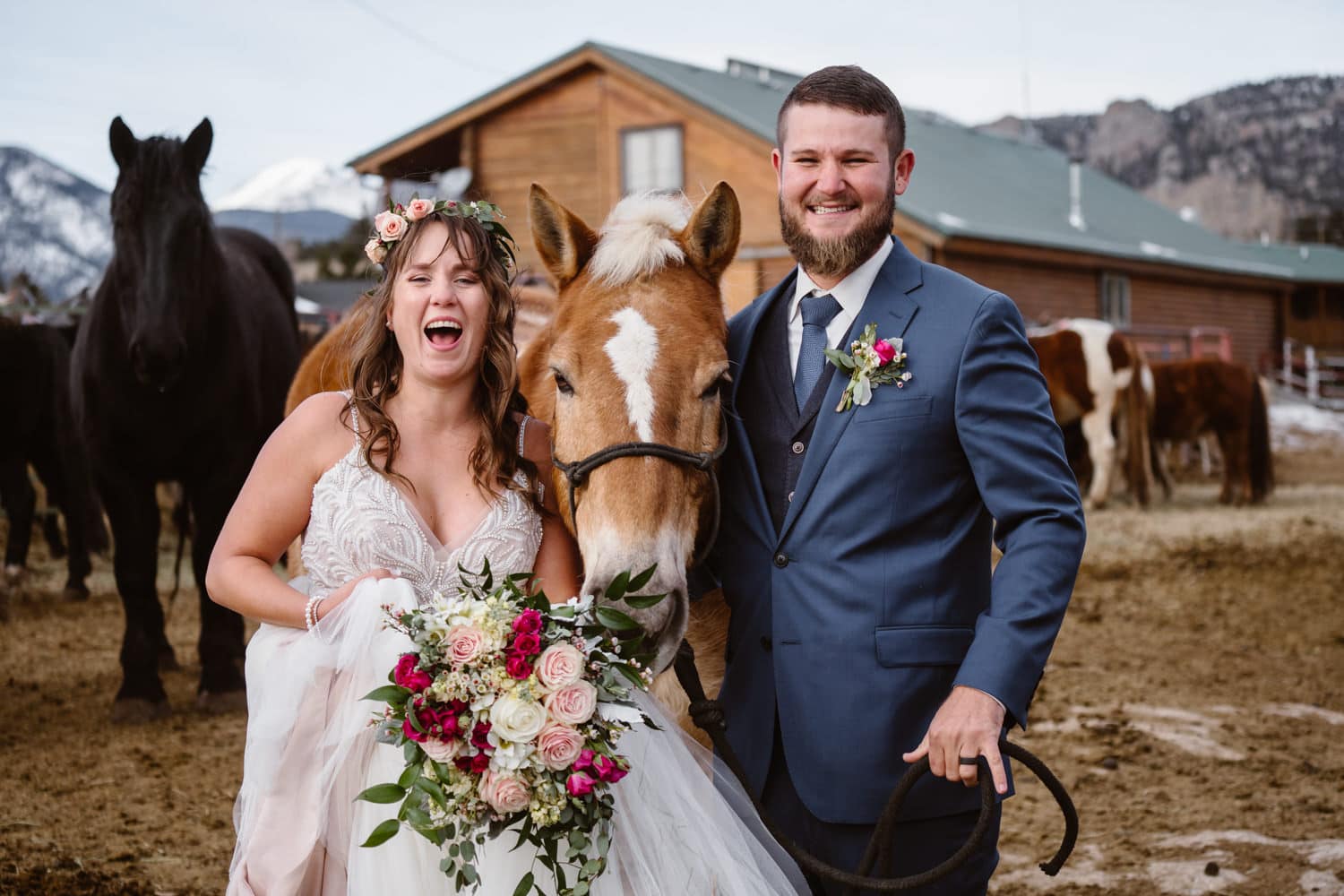 Rocky Mountain National Park Elopement Horses