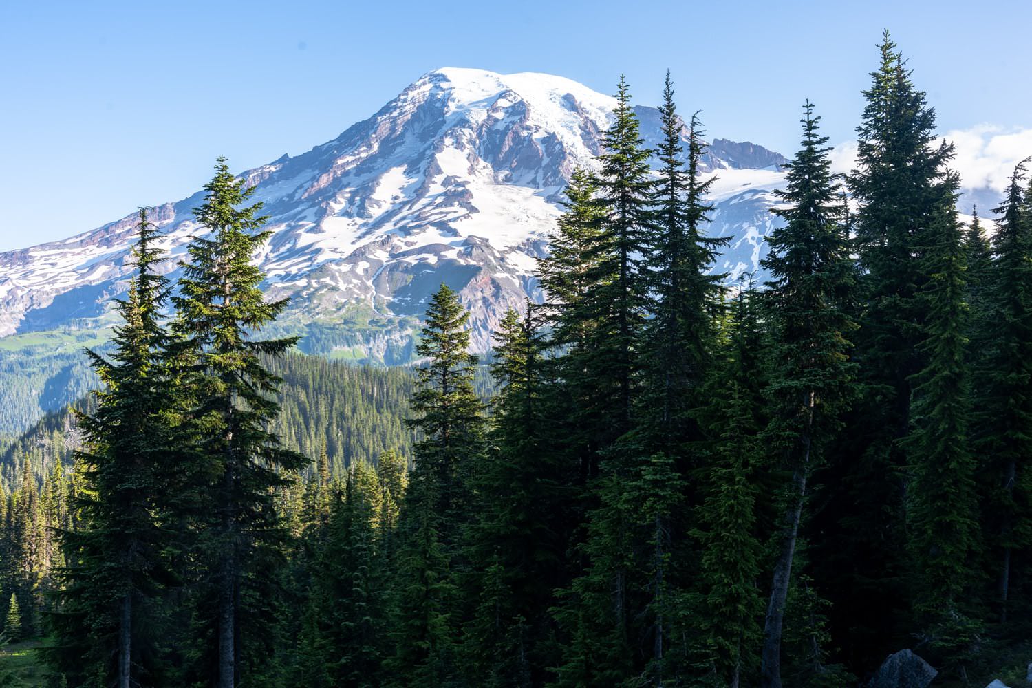 Mount Rainier Elopement Packages