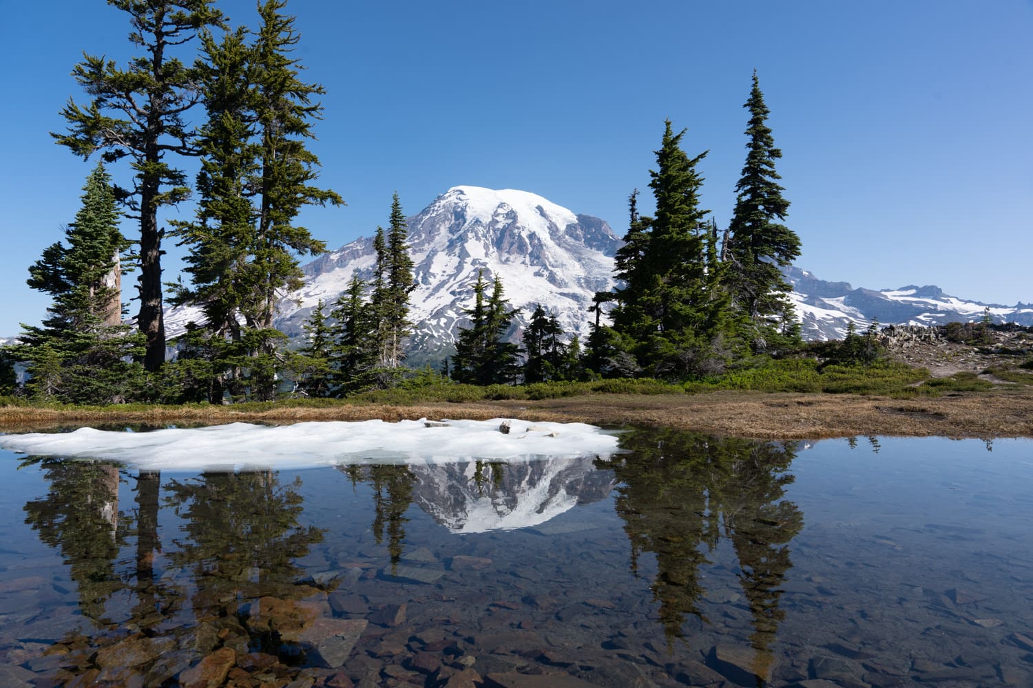 Mount Rainier Alpine Lake Reflection Elopement Packages