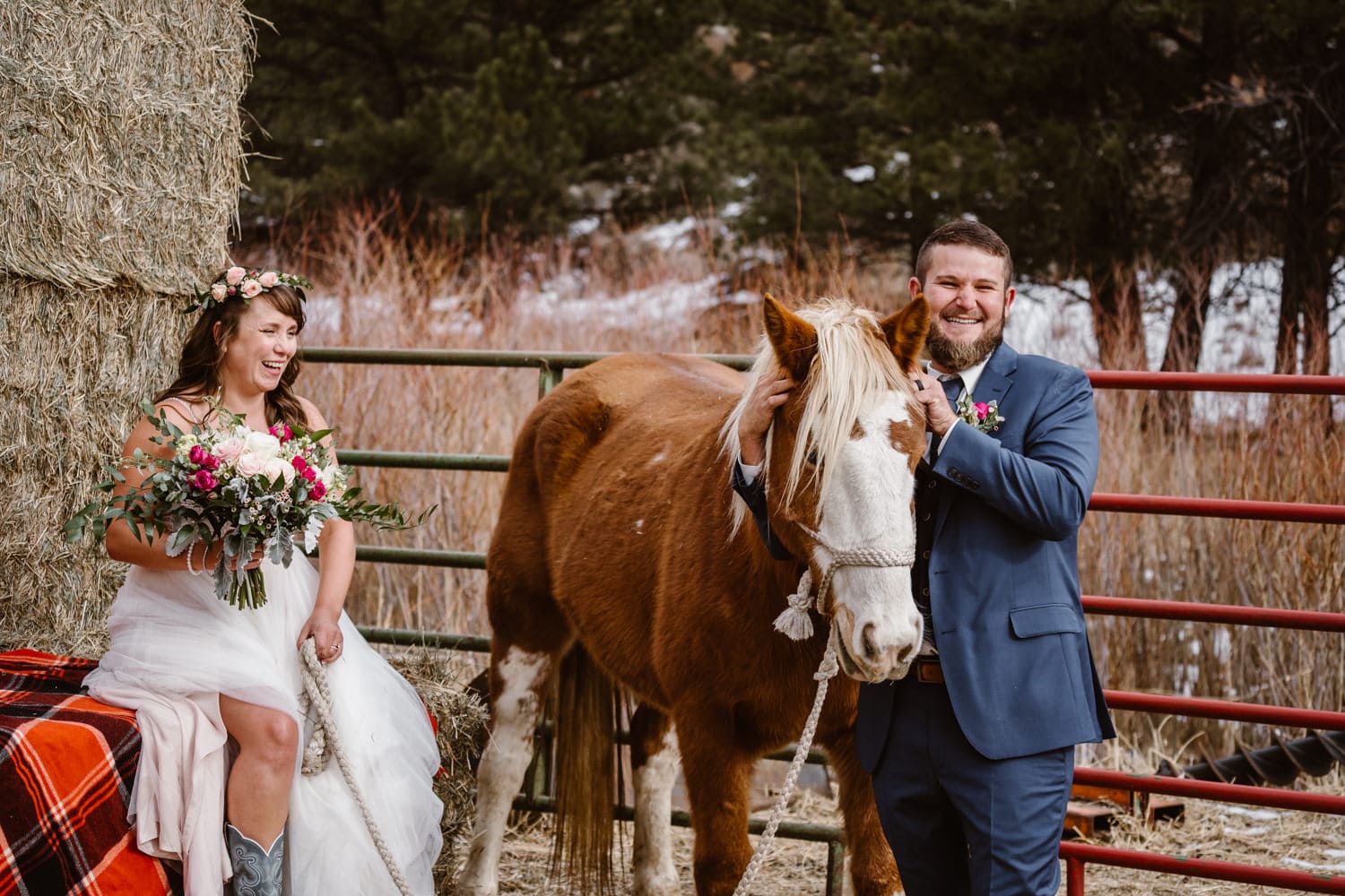 3m Curve Elopement Bride and Groom With Horses at Estes Park