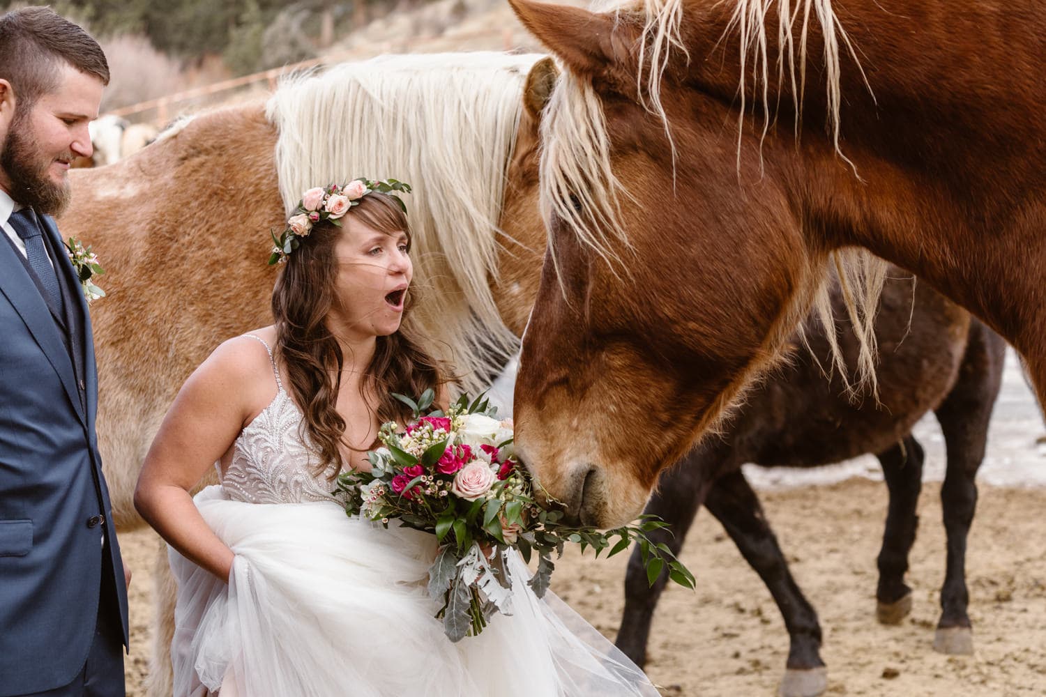 3m Curve Elopement Bride and Groom With Horses at Estes Park
