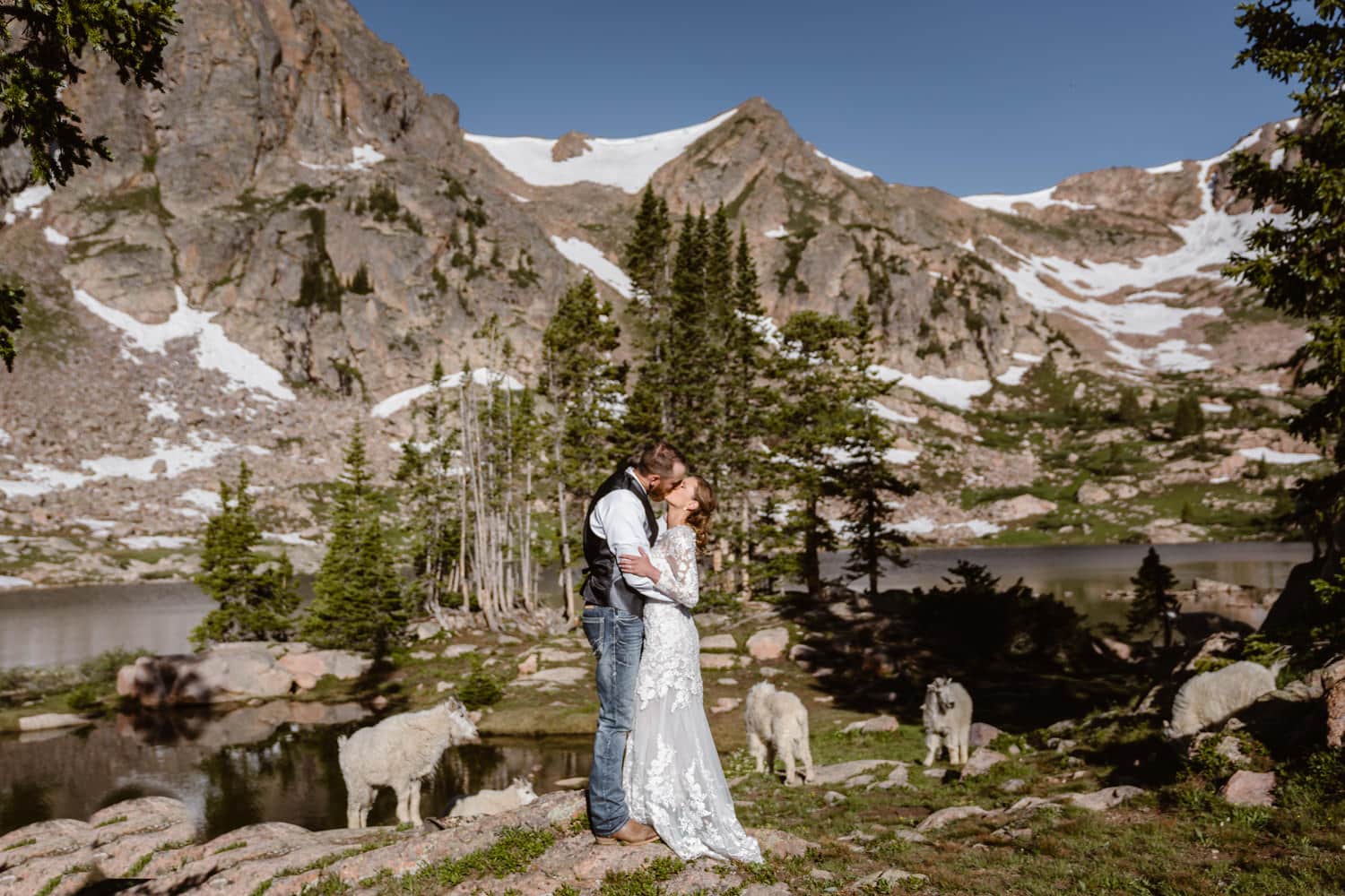 Bride and Groom With Goats Backpacking Wedding Elopement
