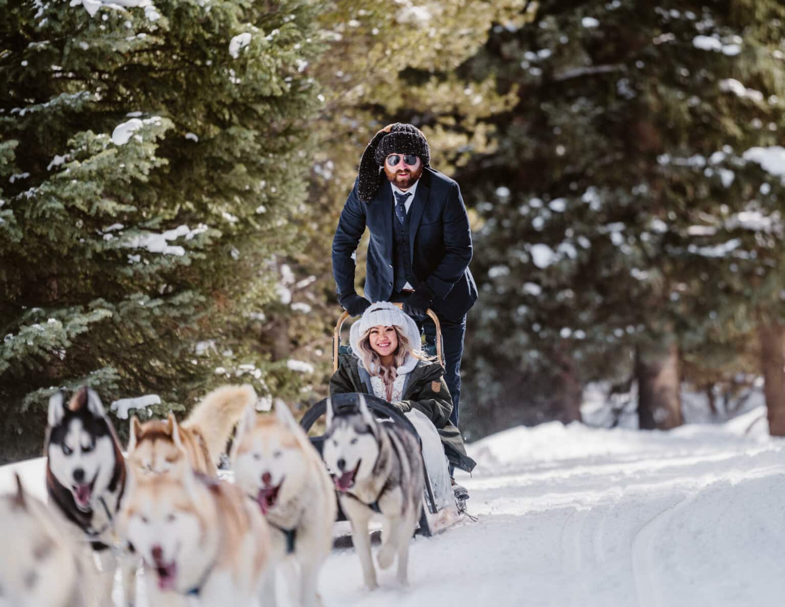 A bride and groom dog sledding in the winter on their elopement day.