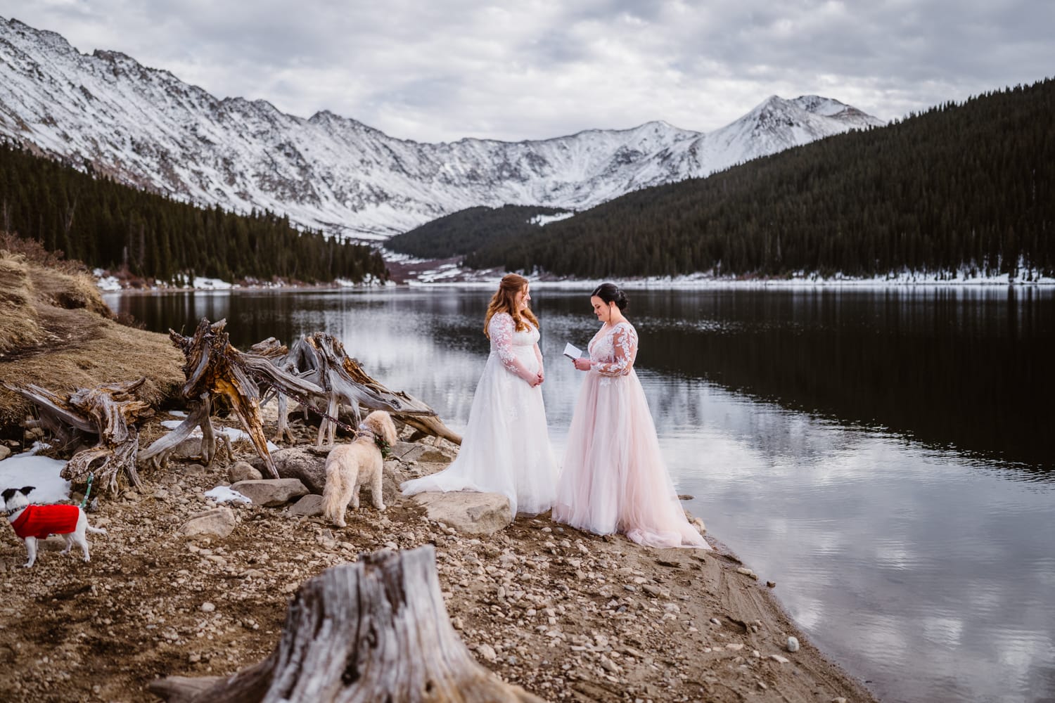 Two brides sharing their vows with their dogs at alpine lake in Colorado for their Self-Solemnization.