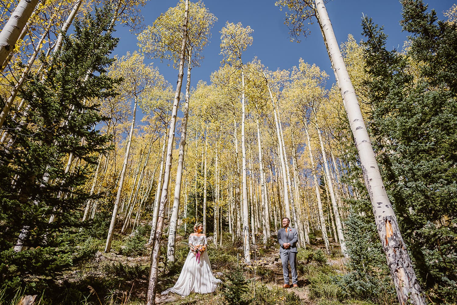 Couple standing beneath the aspen trees in Colorado during their Colorado elopement.