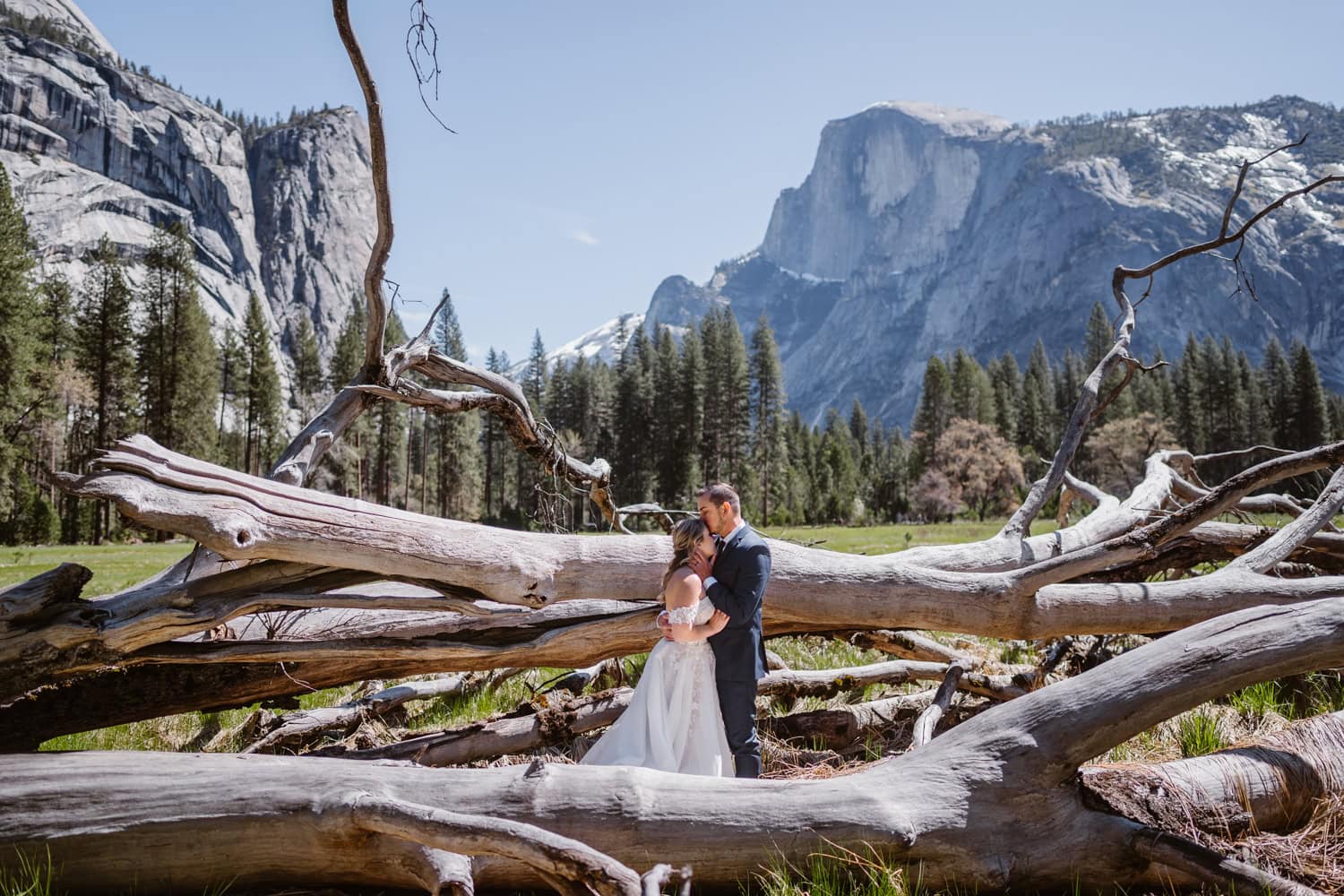 Couple standing in trees for their Yosemite elopement.